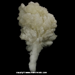 Mineral Specimen: Aragonite from Chihuahua, Mexico Mineral Specimen: Aragonite from Chihuahua, Mexico