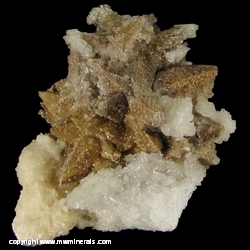 Minerals Specimen: Selenite on Chocolate Calcite from Chihuahua, Mexico Minerals Specimen: Selenite on Chocolate Calcite from Chihuahua, Mexico