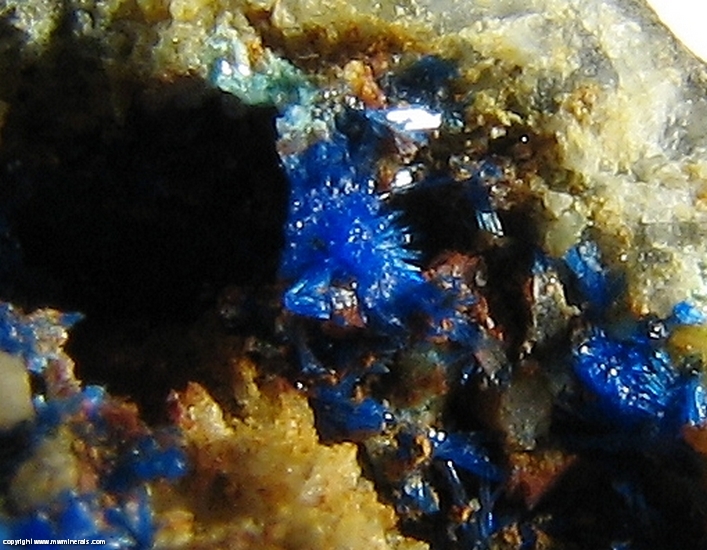 Mineral Specimen: Linarite from Eaglebrook Mine (Nant-Y-Cagel Mine), Nant-y-Moch Reservoir area, Talybont, Ceulanymaesmawr, Ceredigion, Wales