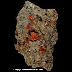 Minerals Specimen: Wulfenite from Red Cloud Mine, Silver District, Trigo Mts, La Paz Co., Arizona, USA Minerals Specimen: Wulfenite from Red Cloud Mine, Silver District, Trigo Mts, La Paz Co., Arizona, USA