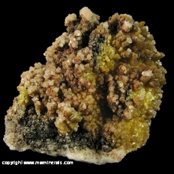 Mineral Specimen: Mimetite and Calcite from Potosi Mine, Aquiles Serdan, West Camp, Santa Eulalia, Chihuahua, Mexico Mineral Specimen: Mimetite and Calcite from Potosi Mine, Aquiles Serdan, West Camp, Santa Eulalia, Chihuahua, Mexico