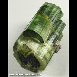 Mineral Specimen: Hollow Tourmaline from Pederneira Mine, Sao Jose da Safira, Minas Gerais, Brazil