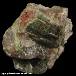 Minerals Specimen: Watermelon Tourmaline from Mt. Mica, Paris, Oxford County, Maine, USA