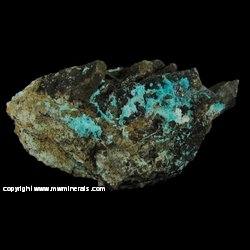 Minerals Specimen: Serpierite from Jack Pot Mine (Jack Pot claim), Desert Creek Ranch, Wilson District, Lyon Co., Nevada, USA Minerals Specimen: Serpierite from Jack Pot Mine (Jack Pot claim), Desert Creek Ranch, Wilson District, Lyon Co., Nevada, USA