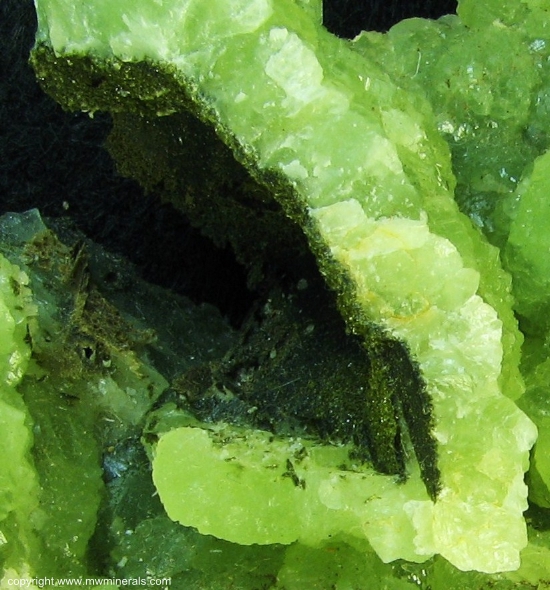 Mineral Specimen: Prehnite from Lane & Sons Traprock quarries, Westfield, Hampden County, Massachusetts, USA