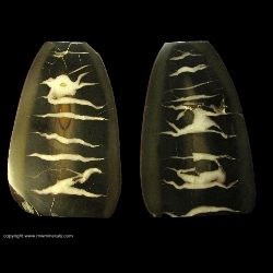 Minerals Specimen: Septarian Nodule / Calcite in Chert from Beach of Lake Michigan, South Haven, Van Buren County, Michigan Minerals Specimen: Septarian Nodule / Calcite in Chert from Beach of Lake Michigan, South Haven, Van Buren County, Michigan