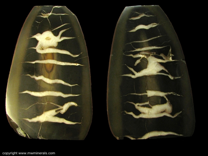 Mineral Specimen: Septarian Nodule / Calcite in Chert from Beach of Lake Michigan, South Haven, Van Buren County, Michigan