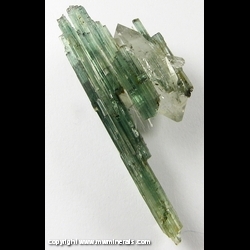 Mineral Specimen: Tourmaline on Quartz from Barra do Salinas, Coronel Murta, Minas Gerais, Brazil Mineral Specimen: Tourmaline on Quartz from Barra do Salinas, Coronel Murta, Minas Gerais, Brazil