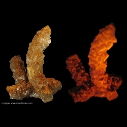 Minerals Specimen: Fluorescent Halite from Salton Sea, Imperial County, California, USA
