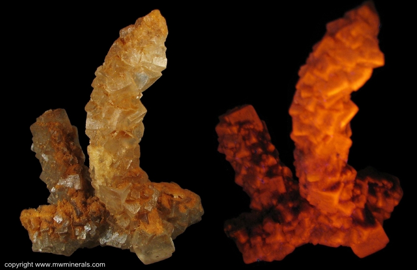Mineral Specimen: Fluorescent Halite from Salton Sea, Imperial County, California, USA