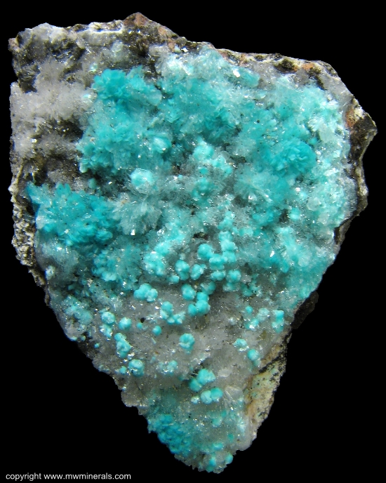 Mineral Specimen: Aurichalcite and Hemimorphite from 79 Mine, Chilito, Hayden area, Banner District, Dripping Spring Mountains, Gila County, Arizona