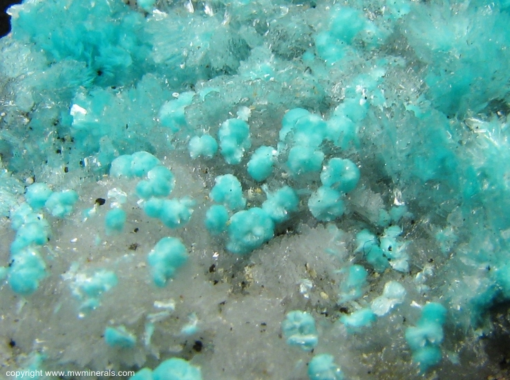 Mineral Specimen: Aurichalcite and Hemimorphite from 79 Mine, Chilito, Hayden area, Banner District, Dripping Spring Mountains, Gila County, Arizona