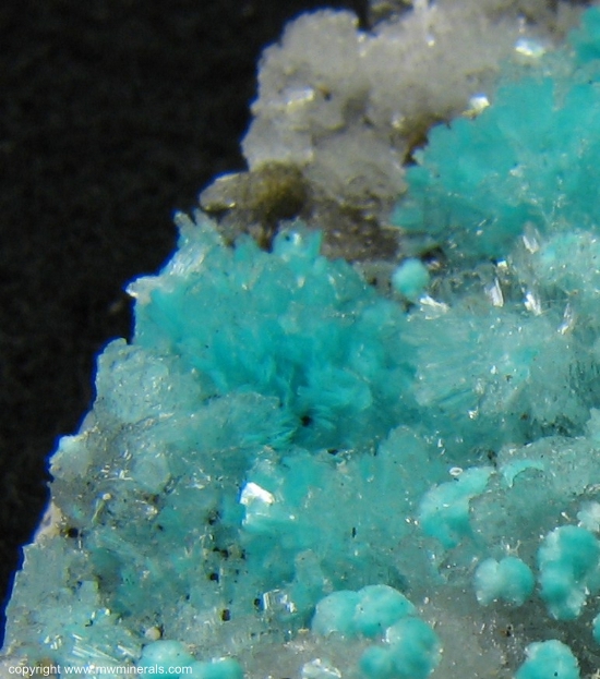 Mineral Specimen: Aurichalcite and Hemimorphite from 79 Mine, Chilito, Hayden area, Banner District, Dripping Spring Mountains, Gila County, Arizona