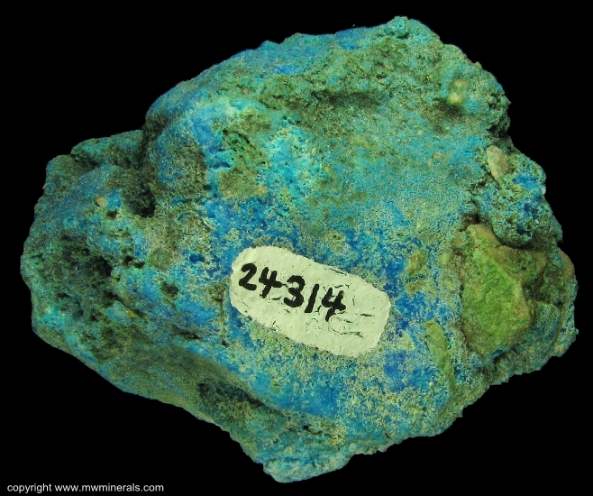 Mineral Specimen: Krohnkite from location unknown, probably Chile, labeled as Bolivia