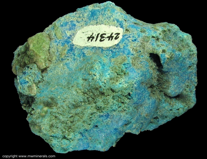 Mineral Specimen: Krohnkite from location unknown, probably Chile, labeled as Bolivia