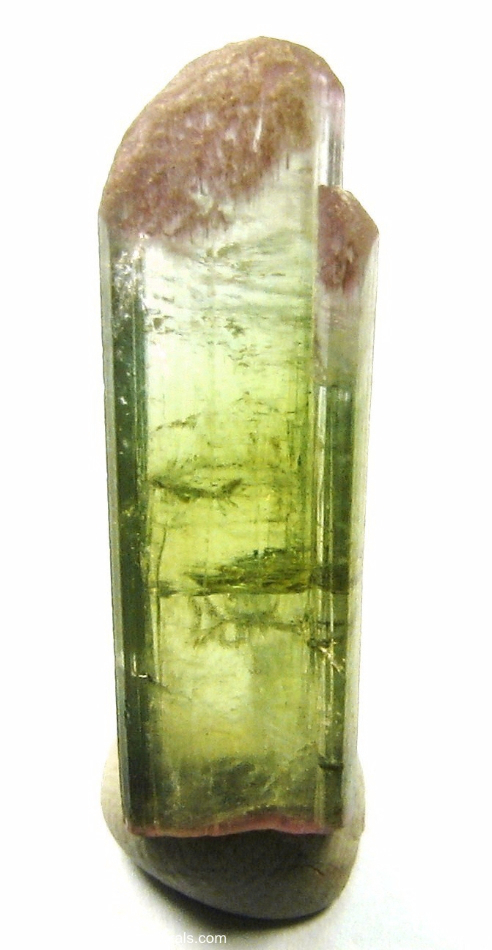 Mineral Specimen: Double-Terminated Bi-Color Tourmaline (Elbaite from Minas Gerais, Brazil