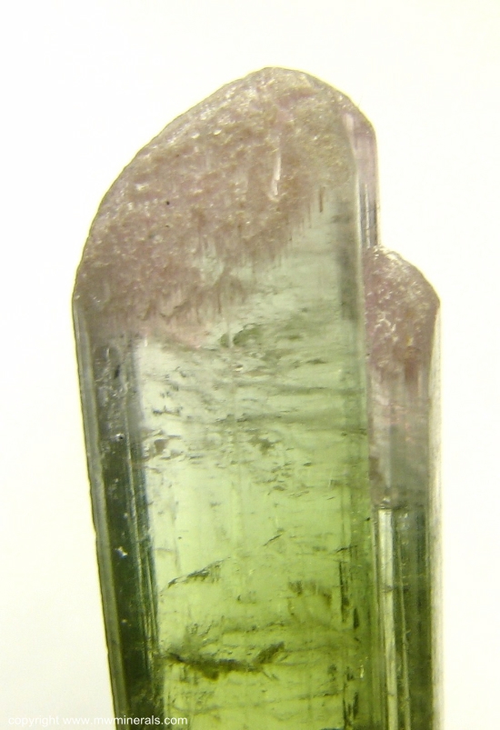 Mineral Specimen: Double-Terminated Bi-Color Tourmaline (Elbaite from Minas Gerais, Brazil