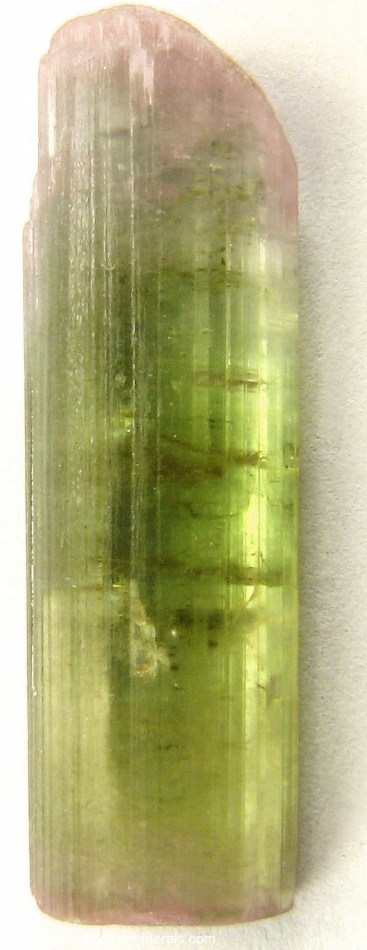 Mineral Specimen: Double-Terminated Bi-Color Tourmaline (Elbaite from Minas Gerais, Brazil