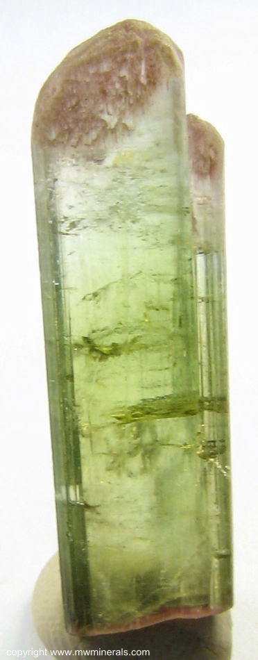 Mineral Specimen: Double-Terminated Bi-Color Tourmaline (Elbaite from Minas Gerais, Brazil