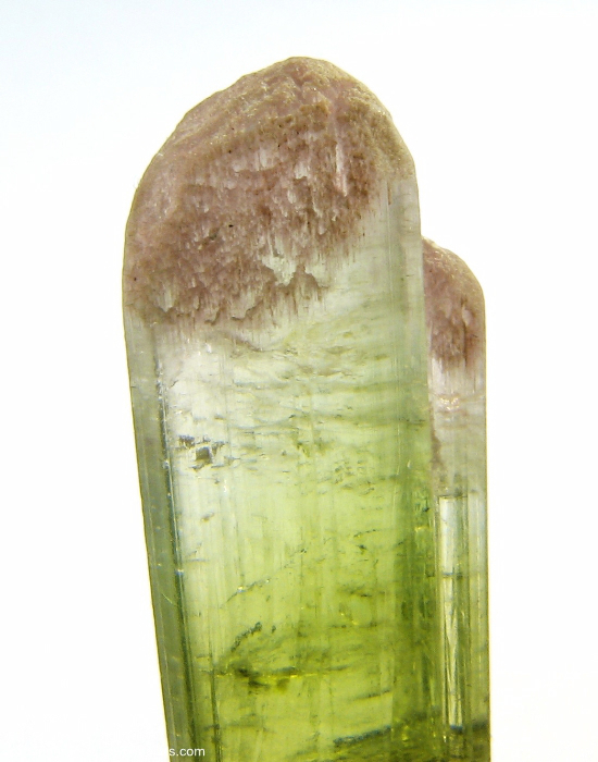 Mineral Specimen: Double-Terminated Bi-Color Tourmaline (Elbaite from Minas Gerais, Brazil