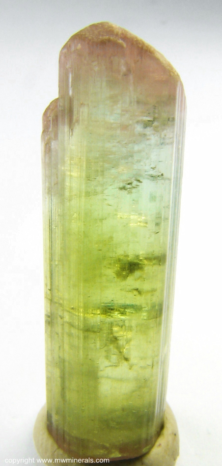 Mineral Specimen: Double-Terminated Bi-Color Tourmaline (Elbaite from Minas Gerais, Brazil
