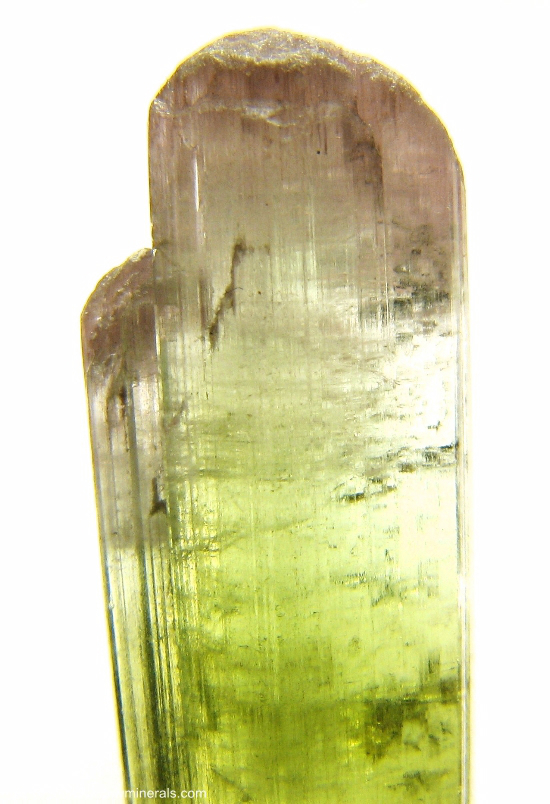 Mineral Specimen: Double-Terminated Bi-Color Tourmaline (Elbaite from Minas Gerais, Brazil