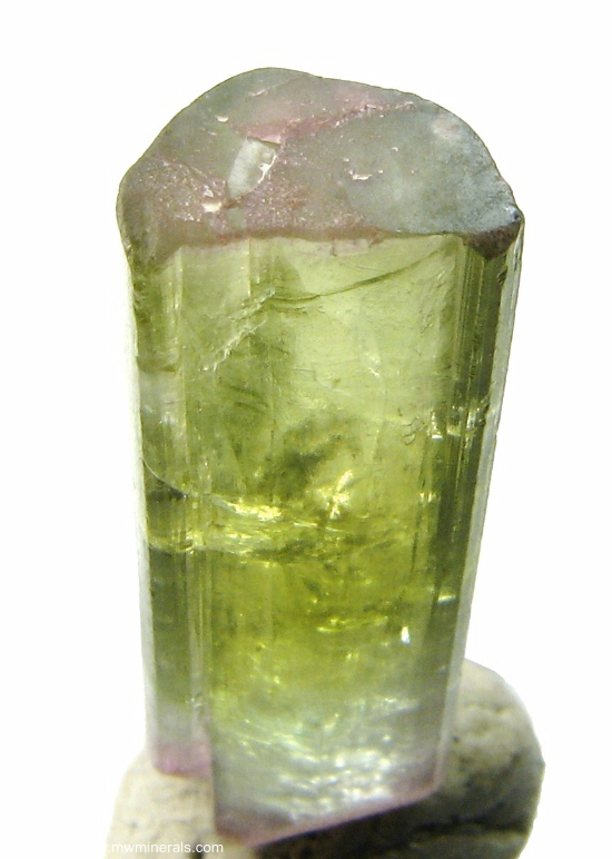 Mineral Specimen: Double-Terminated Bi-Color Tourmaline (Elbaite from Minas Gerais, Brazil