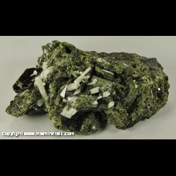 Mineral Specimen: Zirconolite, Fluorapatite, Richterite, Augite, Phlogopite, Perovskite from Jacupiranga Mine, Cajati, Sao Paulo, Brazil Mineral Specimen: Zirconolite, Fluorapatite, Richterite, Augite, Phlogopite, Perovskite from Jacupiranga Mine, Cajati, Sao Paulo, Brazil