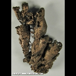 Minerals Specimen: Copper Crystals from Baltic Mine, Baltic, Adams Twp., Houghton County, Michigan, USA Minerals Specimen: Copper Crystals from Baltic Mine, Baltic, Adams Twp., Houghton County, Michigan, USA