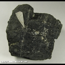 Minerals Specimen: Bilinite on Bituminous Coal from Liberty Mine, Stigler, Haskell Co., Oklahoma, USA Minerals Specimen: Bilinite on Bituminous Coal from Liberty Mine, Stigler, Haskell Co., Oklahoma, USA