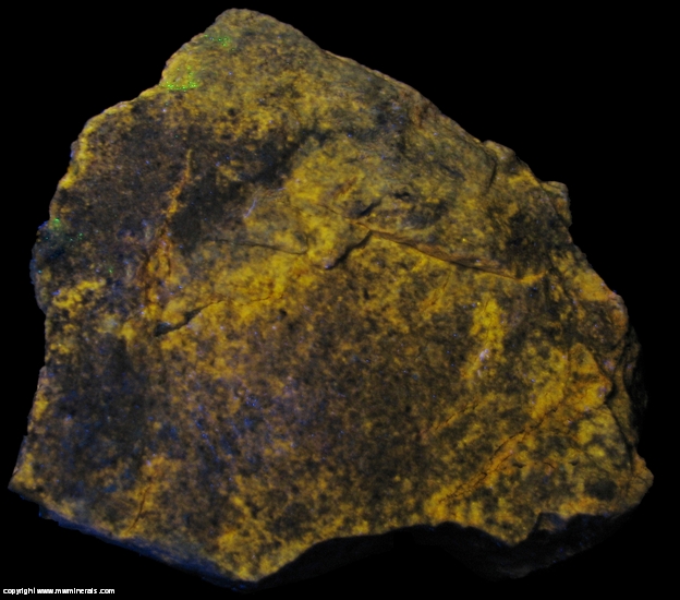 Fluorescent Mineral Specimen: Fluorescent Calcite and Opalite Mix from Nye Co., Nevada, USA Fluorescent Mineral Specimen: Fluorescent Calcite and Opalite Mix from Nye Co., Nevada, USA