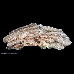 Minerals Specimen: Selenite Crystals on Red Curved Satin Spar from Chihuahua, Mexico Minerals Specimen: Selenite Crystals on Red Curved Satin Spar from Chihuahua, Mexico