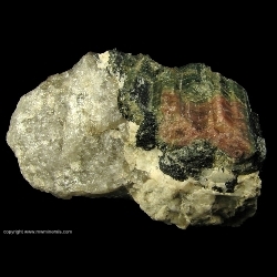 Minerals Specimen: Multicolored Tourmaline from Leduc Mine, St-Pierre-de-Wakefield, Wakefield Township, Gatineau County, Quebec, Canada Minerals Specimen: Multicolored Tourmaline from Leduc Mine, St-Pierre-de-Wakefield, Wakefield Township, Gatineau County, Quebec, Canada