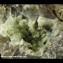 Minerals Specimen: Phosphophyllite from Hagendorf South Pegmatite (Hagendorf Sud), Hagendorf, Oberpfalz, Bavaria, Germany Minerals Specimen: Phosphophyllite from Hagendorf South Pegmatite (Hagendorf Sud), Hagendorf, Oberpfalz, Bavaria, Germany