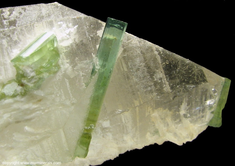 Mineral Specimen: Green Tourmaline in Quartz from Mina Santa Rosa, Minas Gerais, Brazil