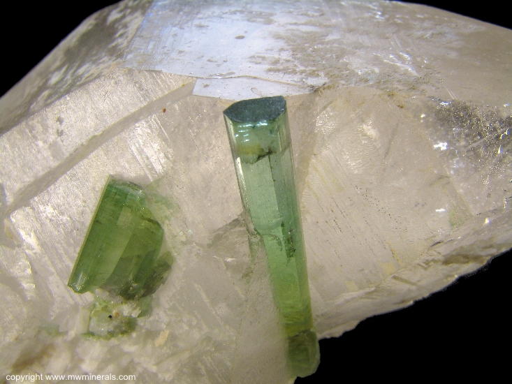 Mineral Specimen: Green Tourmaline in Quartz from Mina Santa Rosa, Minas Gerais, Brazil