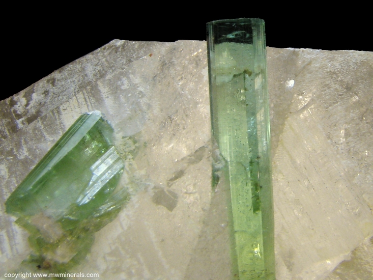 Mineral Specimen: Green Tourmaline in Quartz from Mina Santa Rosa, Minas Gerais, Brazil