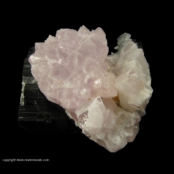 Minerals Specimen: Rose Quartz Crystals on Schorl Tourmaline from Alto da Pitorra, Laranjeiras, Galileia, Doce valley, Minas Gerais, Brazil Minerals Specimen: Rose Quartz Crystals on Schorl Tourmaline from Alto da Pitorra, Laranjeiras, Galileia, Doce valley, Minas Gerais, Brazil