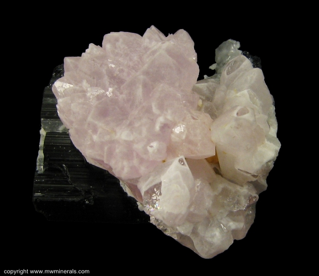 Mineral Specimen: Rose Quartz Crystals on Schorl Tourmaline from Alto da Pitorra, Laranjeiras, Galileia, Doce valley, Minas Gerais, Brazil