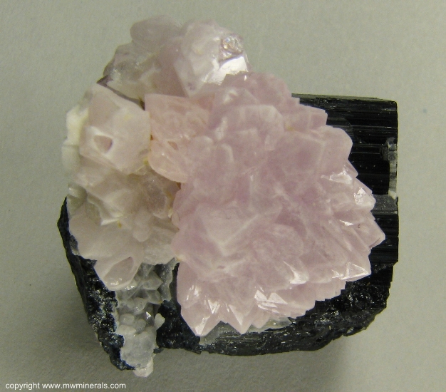 Mineral Specimen: Rose Quartz Crystals on Schorl Tourmaline from Alto da Pitorra, Laranjeiras, Galileia, Doce valley, Minas Gerais, Brazil