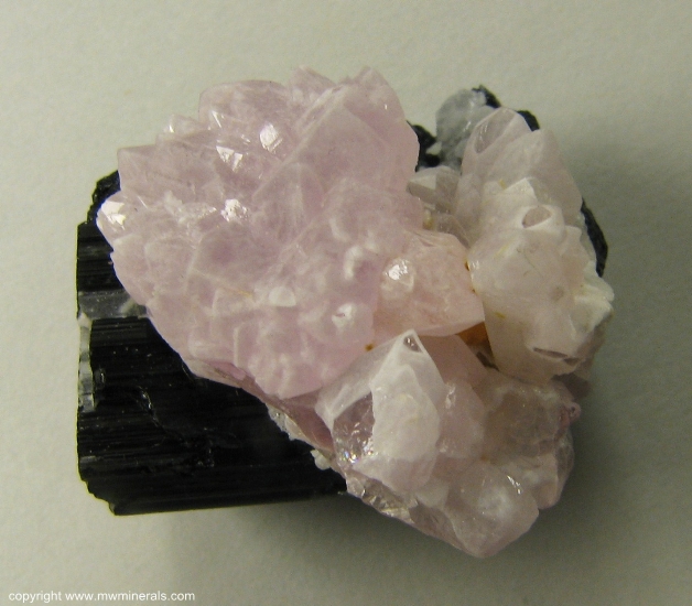 Mineral Specimen: Rose Quartz Crystals on Schorl Tourmaline from Alto da Pitorra, Laranjeiras, Galileia, Doce valley, Minas Gerais, Brazil