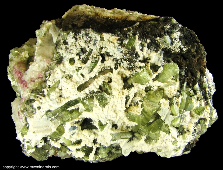 Mineral Specimen: Multicolor Tourmaline (Elbaite) from Mt Mica Quarry, Paris, Oxford County, Maine, USA