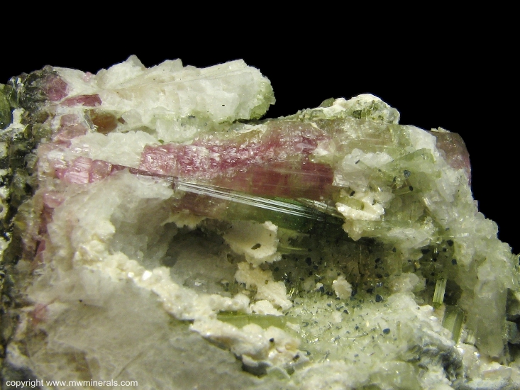 Mineral Specimen: Multicolor Tourmaline (Elbaite) from Mt Mica Quarry, Paris, Oxford County, Maine, USA