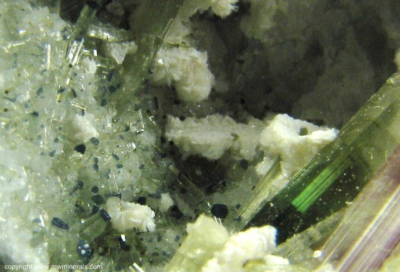 Mineral Specimen: Multicolor Tourmaline (Elbaite) from Mt Mica Quarry, Paris, Oxford County, Maine, USA