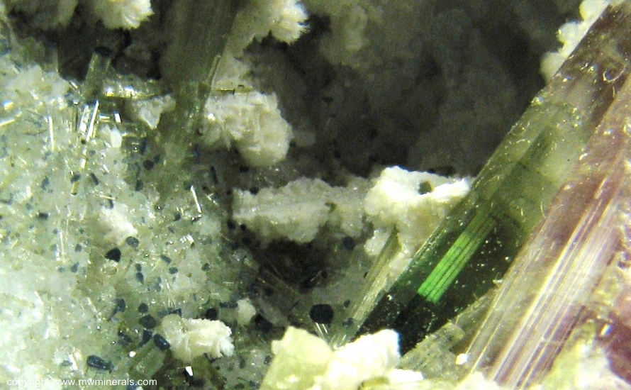 Mineral Specimen: Multicolor Tourmaline (Elbaite) from Mt Mica Quarry, Paris, Oxford County, Maine, USA
