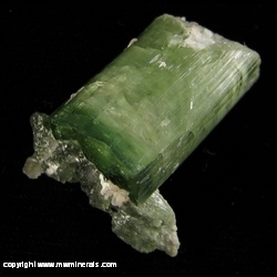 Mineral Specimen: Double Terminated Tourmaline (Elbaite) from Taquaral District, Itinga, Minas Gerais, Brazil Mineral Specimen: Double Terminated Tourmaline (Elbaite) from Taquaral District, Itinga, Minas Gerais, Brazil