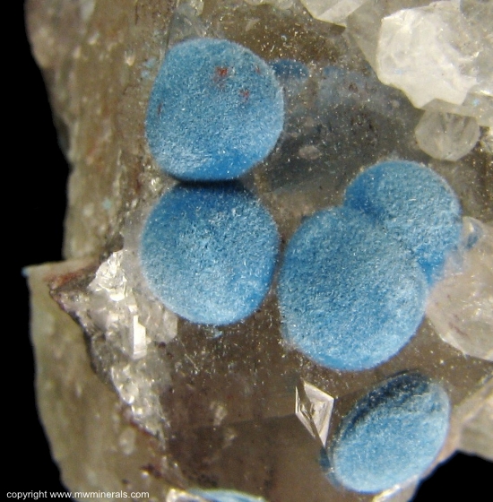 Mineral Specimen: Shattuckite from Omaue Mine, Kaokoveld Plateau, Kunene Region, Namibia