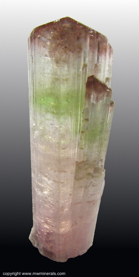 Mineral Specimen: Tourmaline (Elbaite) from Aracuai, Jequitinhonha valley, Minas Gerais, Brazil