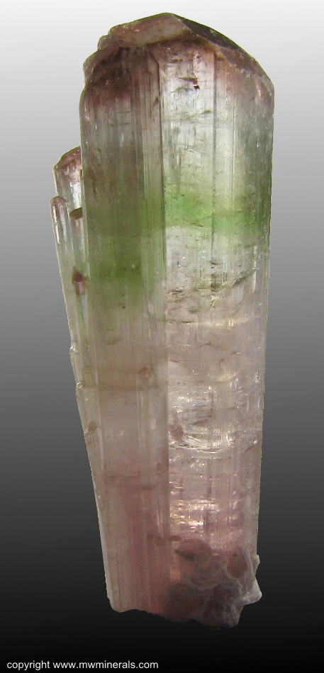 Mineral Specimen: Tourmaline (Elbaite) from Aracuai, Jequitinhonha valley, Minas Gerais, Brazil