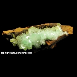 Mineral Specimen: Cuprian Adamite from Mina Ojuela, Mapimi, Durango, Mexico Mineral Specimen: Cuprian Adamite from Mina Ojuela, Mapimi, Durango, Mexico